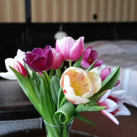Hotel Attache Kiev